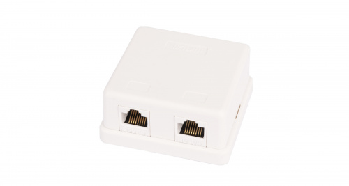 Компьютерные розетки NETLAN EC-UWO-2-UD2-WT-10