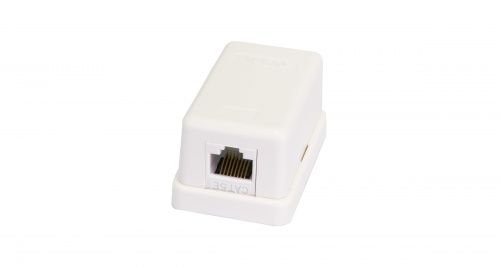 Компьютерные розетки NETLAN EC-UWO-1-UD2-WT-10