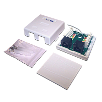 TWT TWT-SM2-4545-WH Настенная розетка, 2 порта RJ-45 категории 5е, UTP, белая
