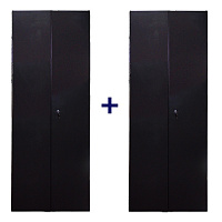 TWT TWT-CBB-DR42-8x-S-M1 Комплект дверей 42U, 800 мм, черный, передняя - распашная металл, задняя -